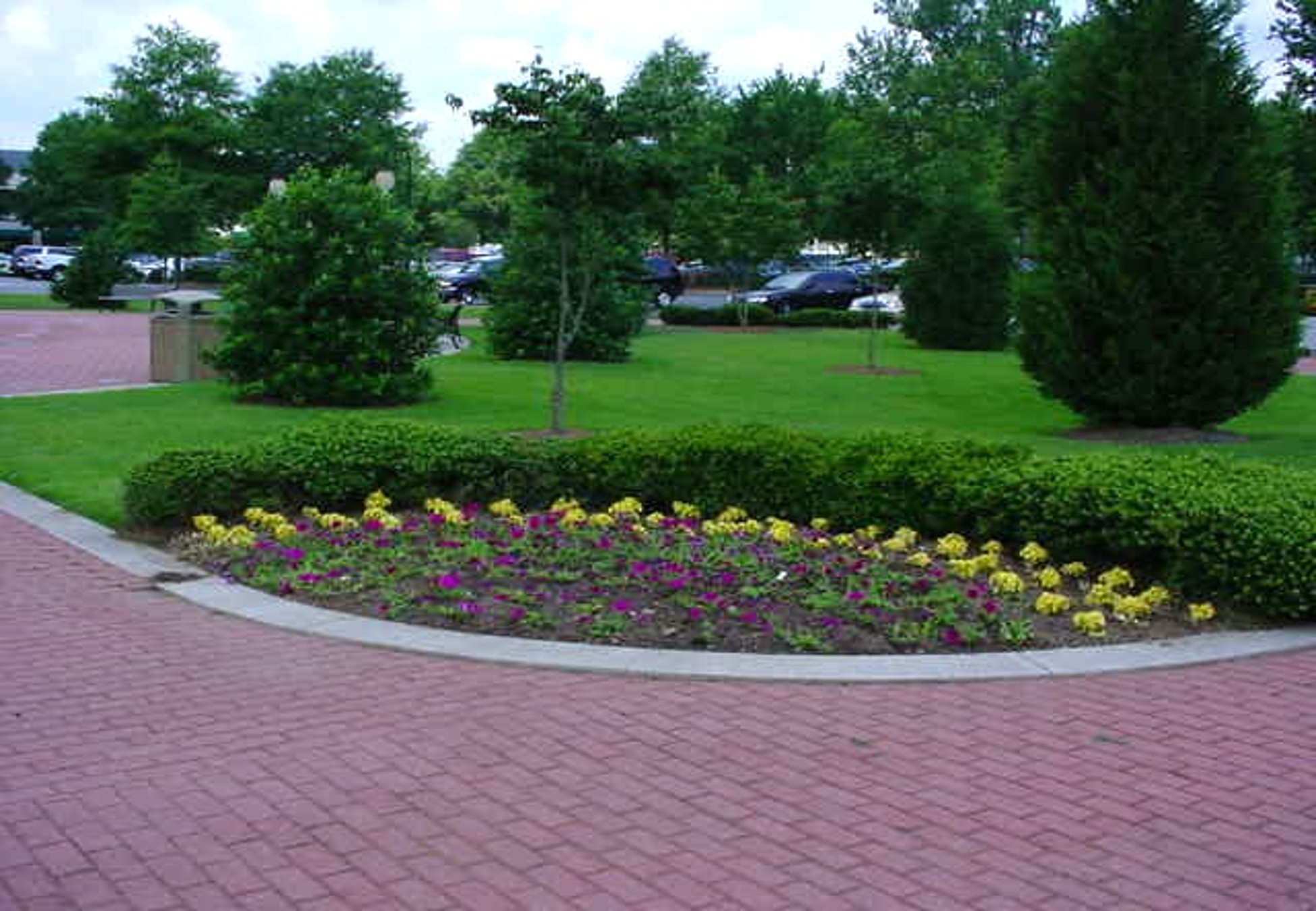 FLOWER BED WITH GREENERY BORDER